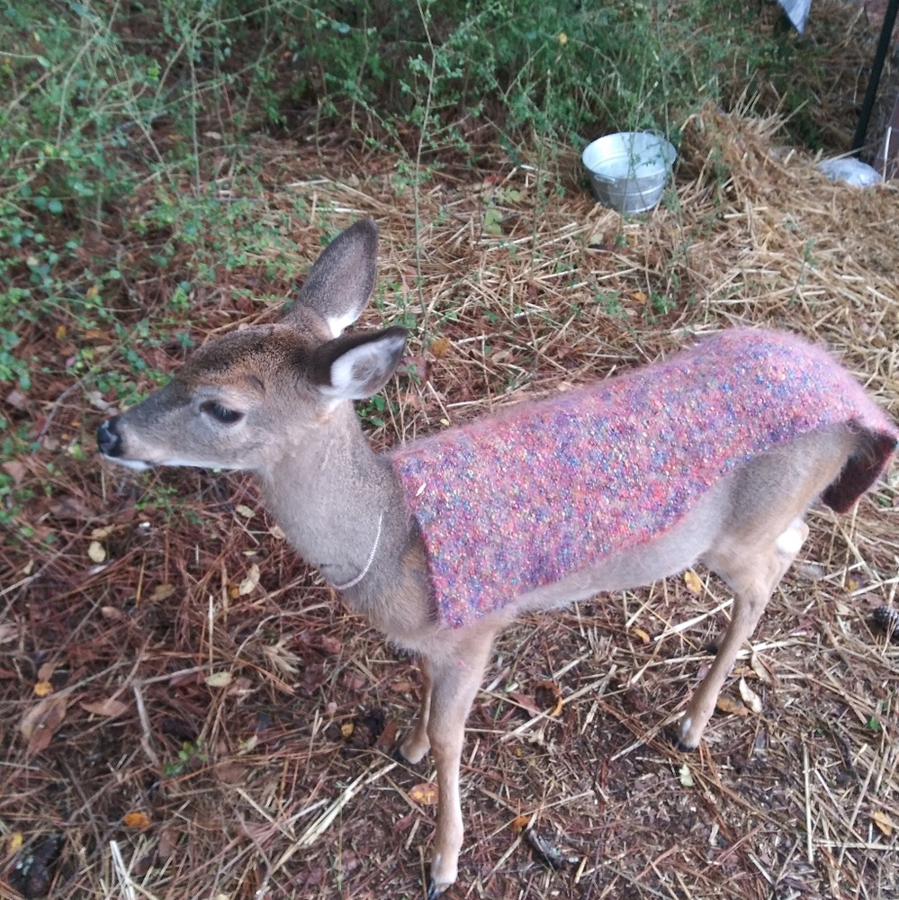 Meet your Posher, Jill